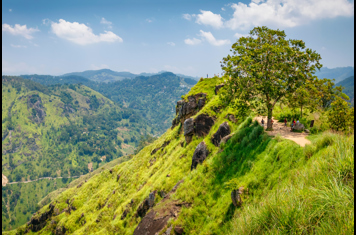 sri lanka - little adam peak_01