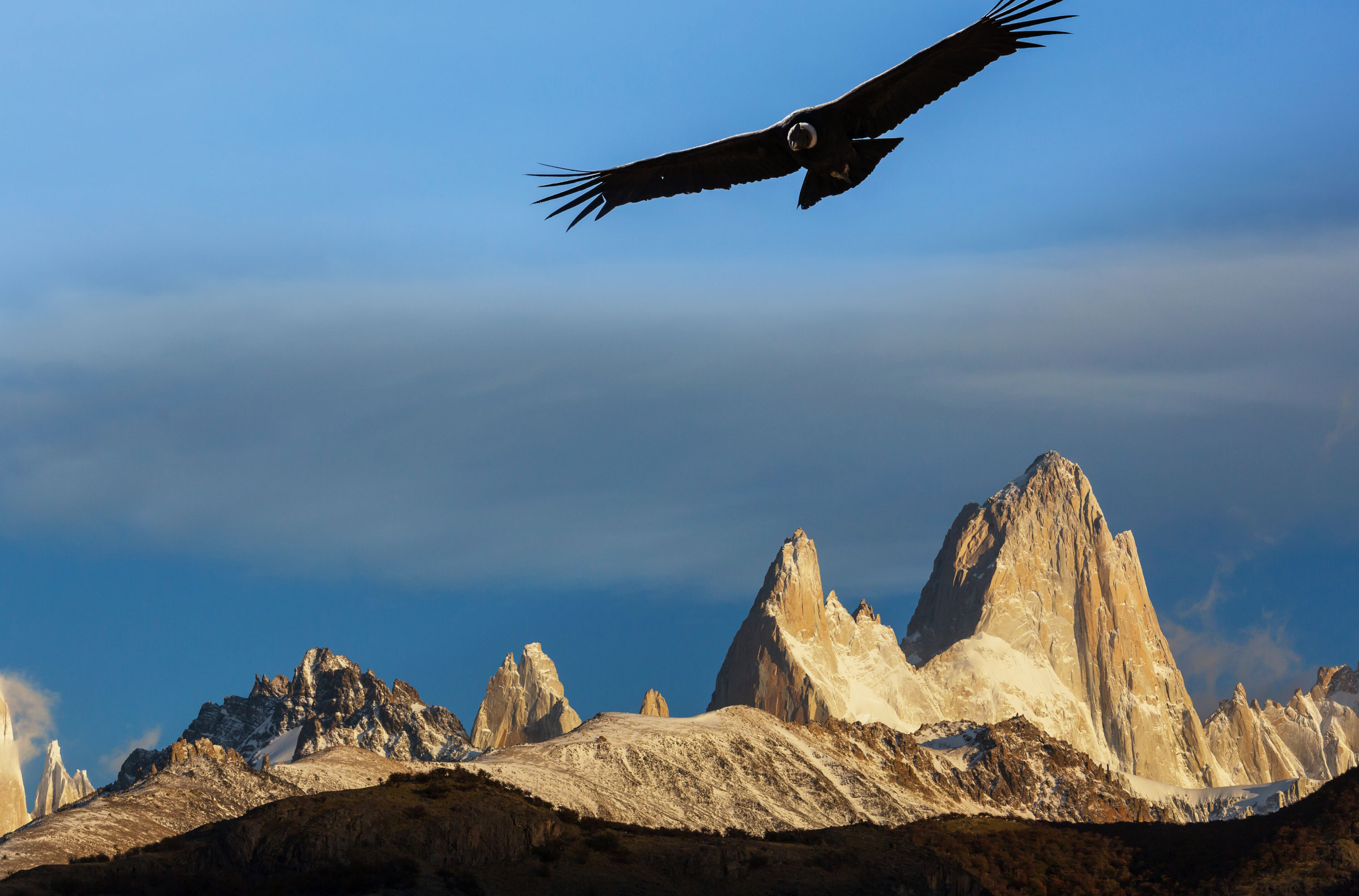 Puerto Natales Condor 2464048577