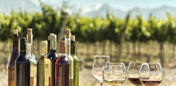 argentina - mendoza_vin_07