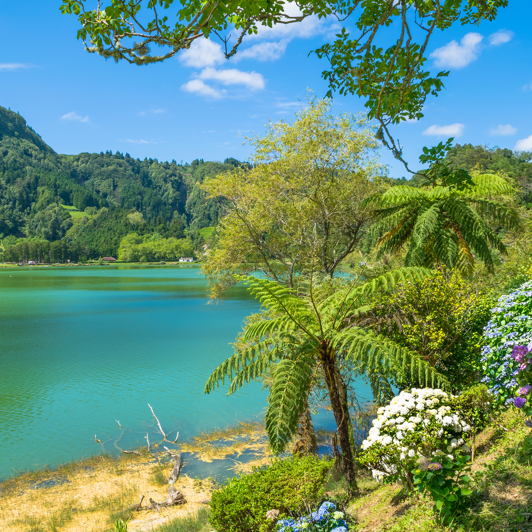 sao miguel_furnas soeen_01