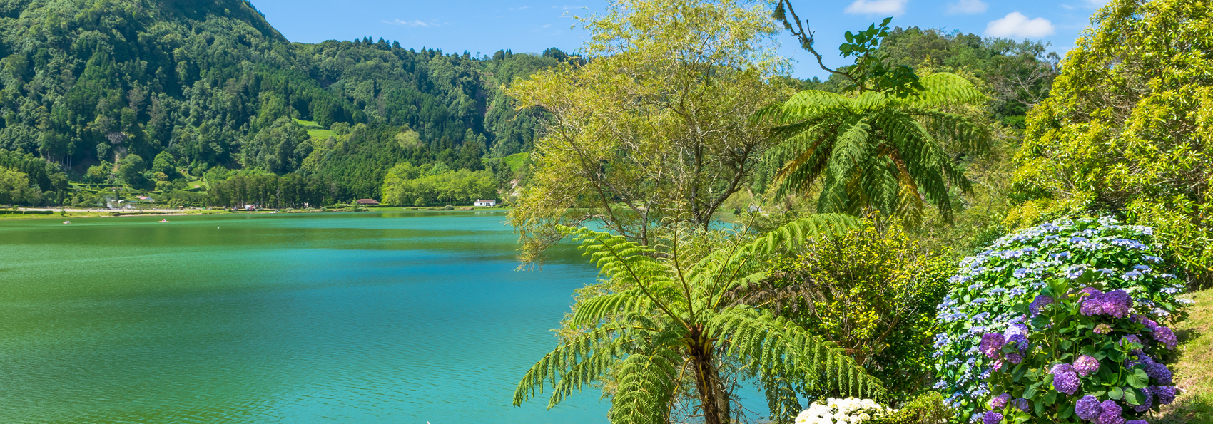 sao miguel_furnas soeen_01