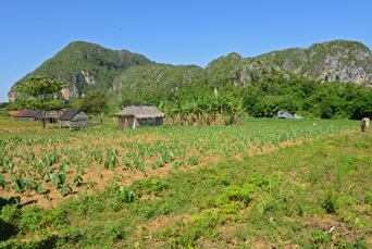 cuba - vinales_mark