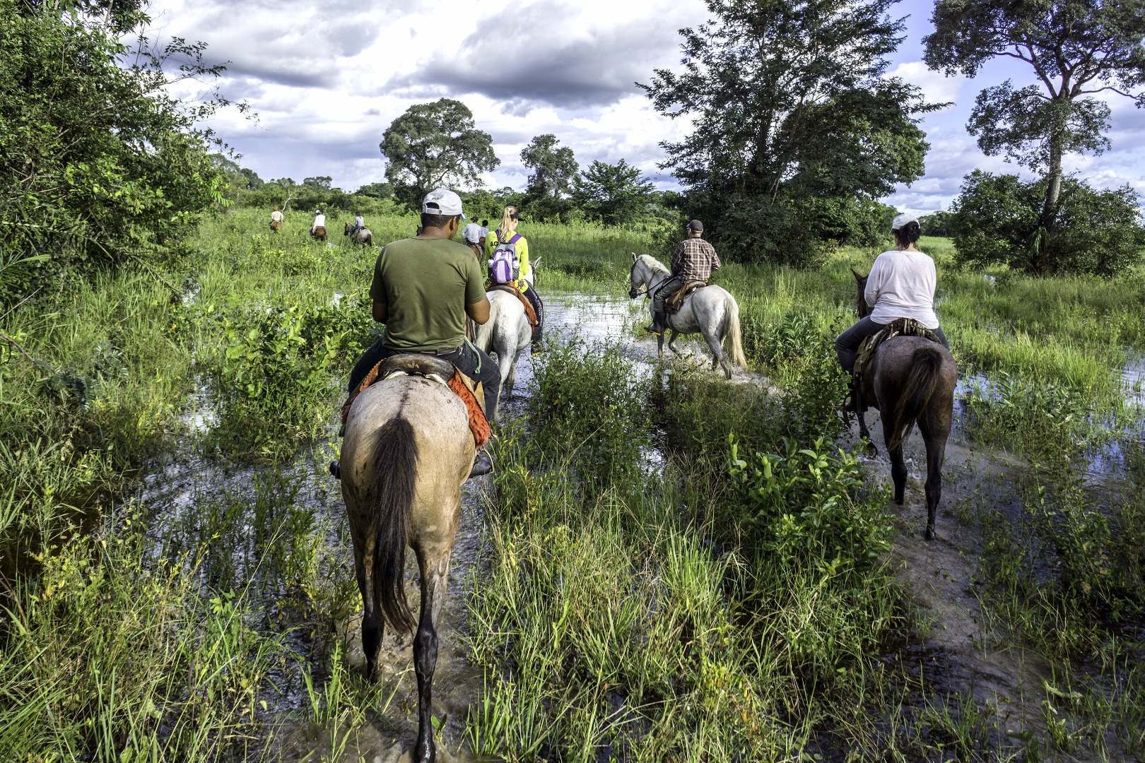 brasilien - pantanal_hest_01