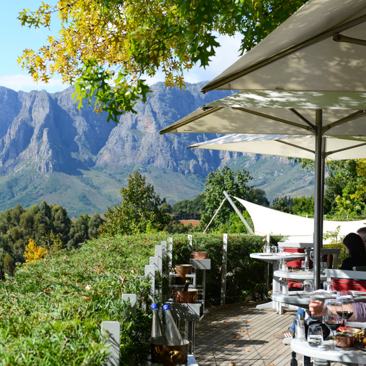sydafrika - stellenbosch_vinmark_08