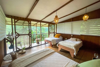 3 Beds Room