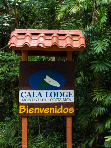 costa rica - monteverde - cala lodge hotel_01