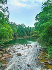 Rompin Rainforest Lodge 02