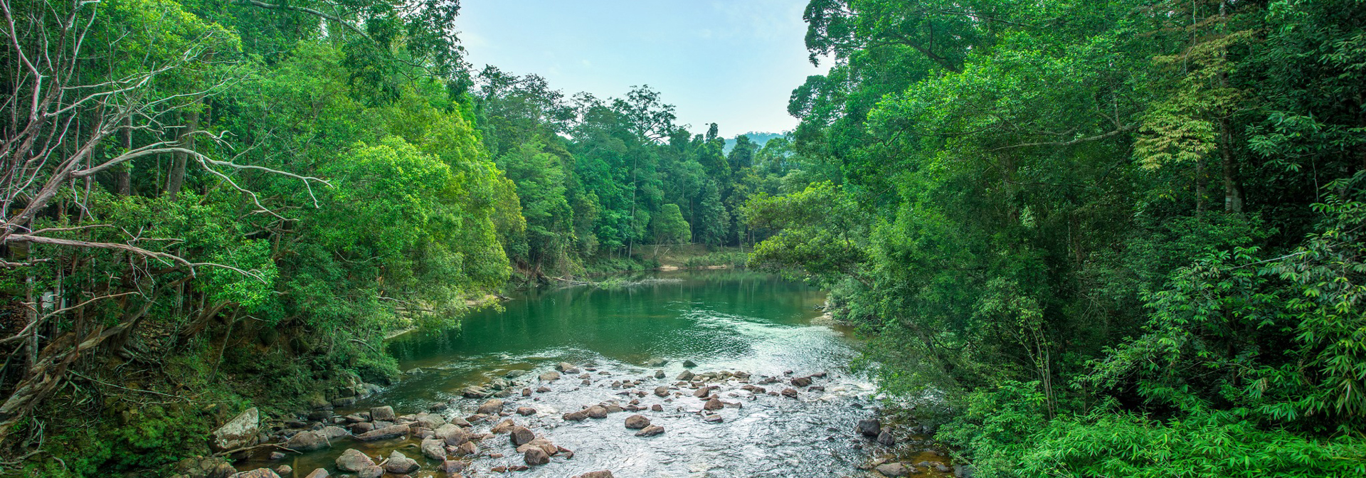 Rompin Rainforest Lodge 02