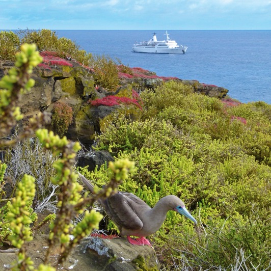 mv galapagos legend_skib_03