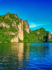 malaysia - Langkawi_mangrove_trae_01
