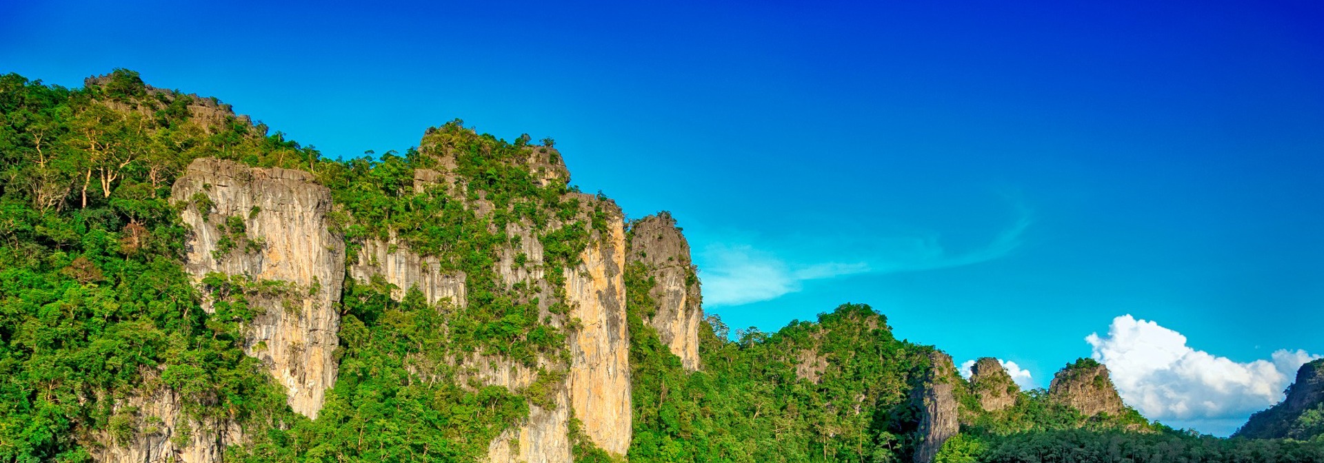 malaysia - Langkawi_mangrove_trae_01