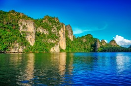 malaysia - Langkawi_mangrove_trae_01