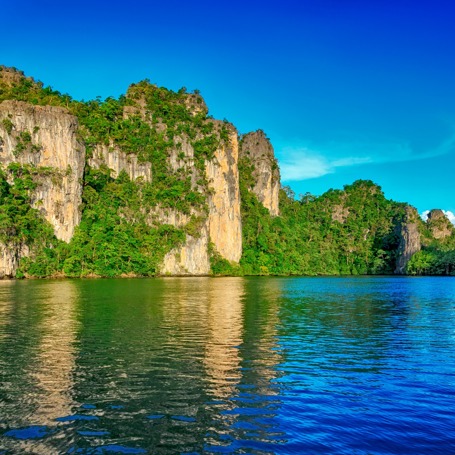 malaysia - Langkawi_mangrove_trae_01