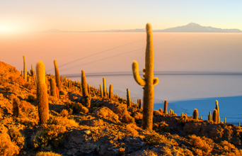 uyuni_incahuasi island_01