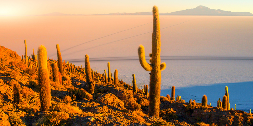 uyuni_incahuasi island_01