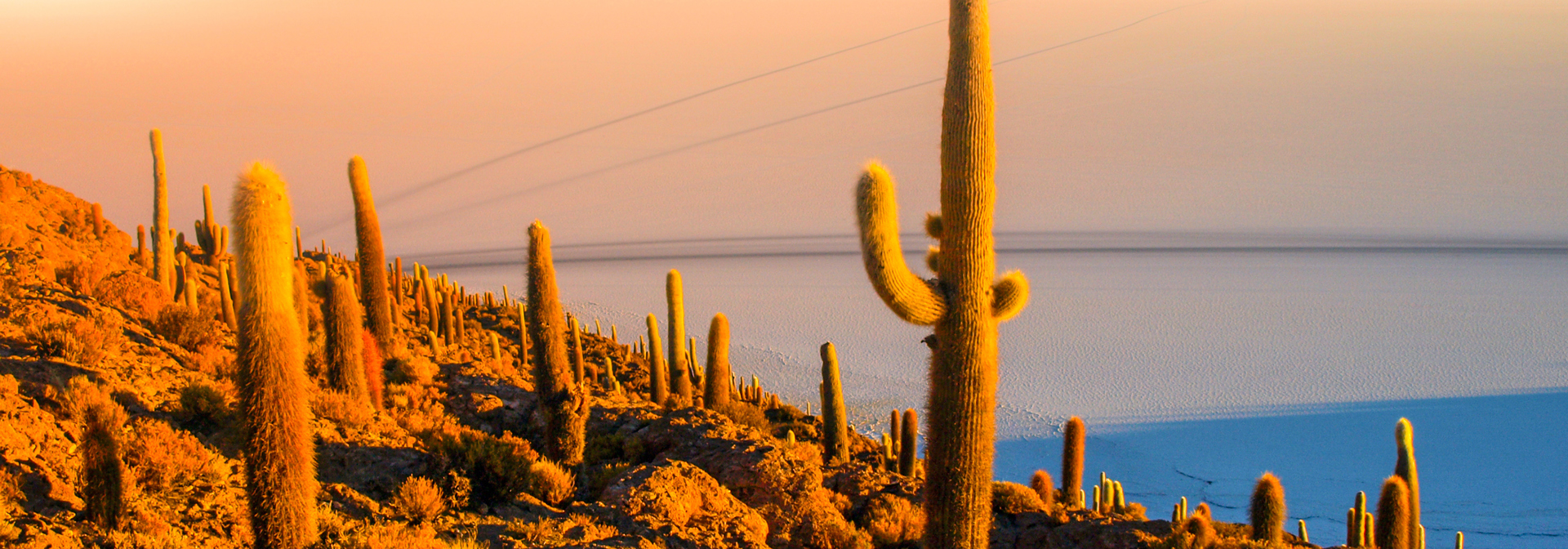 uyuni_incahuasi island_01