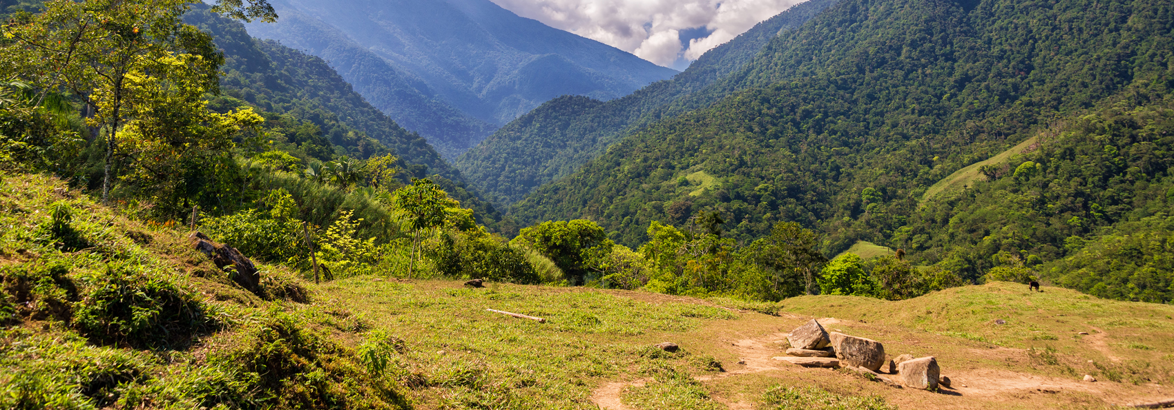 colombia - colombia_sierra nevada_teyuna_ciudad perdida_lost city_11