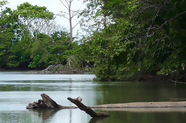 costa rica - sejltur cano negro floden_01