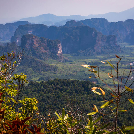 Dragon Crest Natural Trail Hike Krabi3