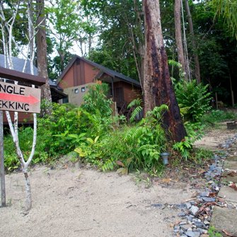 Jungle Trekking