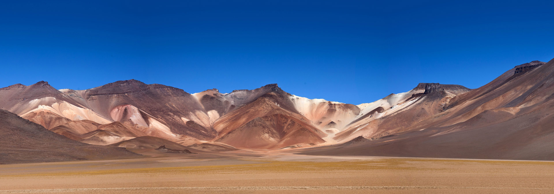 Altiplano Panorama
