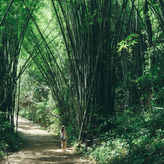 Khao Sok 04