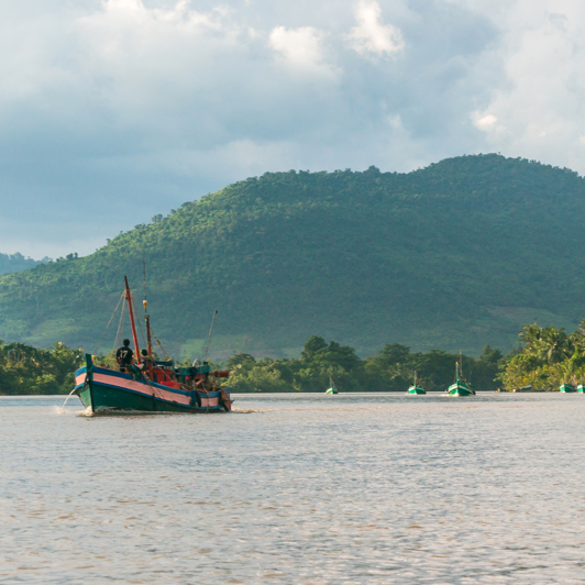 Smukke og frodige Kampot