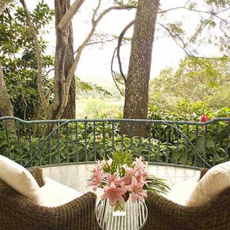 Finca Rosa Blanca Junior Suite El Pino 03