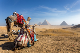 egypten - cairo_giza sphinx_04