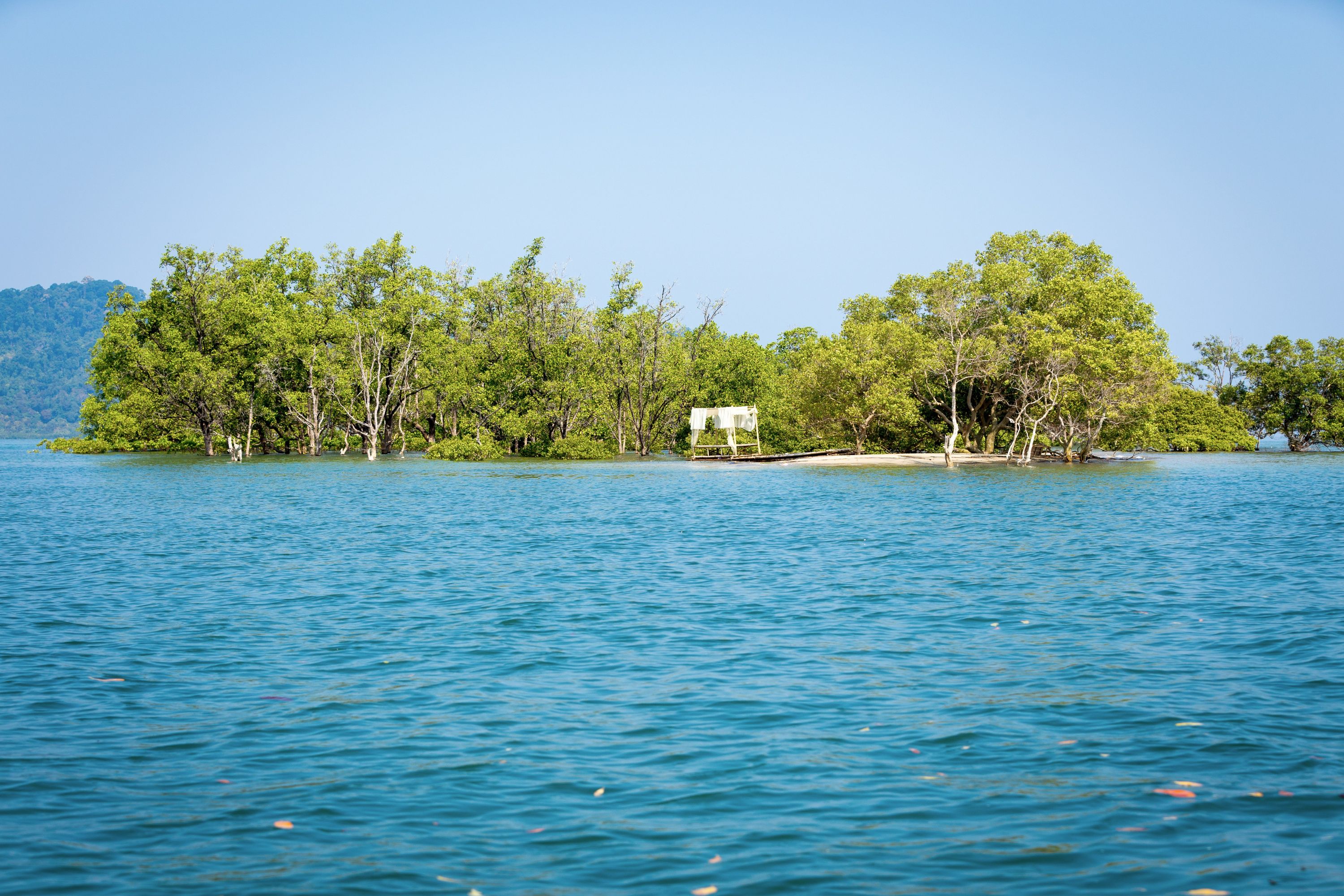 Thailand Ko Phra Thong Mangrove Skov