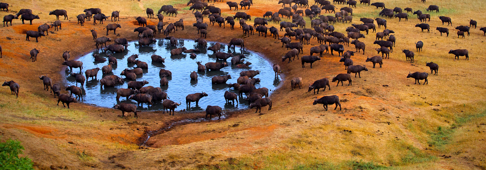 kenya_masai_mara_vandhul_01