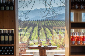 Douro dalen_Quinta da pacheca_wineshop_03