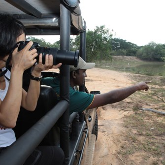 Safari Mahoora Wilpattu By Eco Team