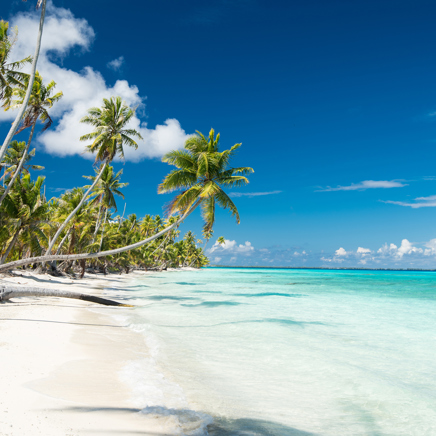 Fransk_Polynesien_strand_01