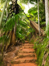 seychellerne - praslin_edens have_01