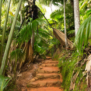 seychellerne - praslin_edens have_01