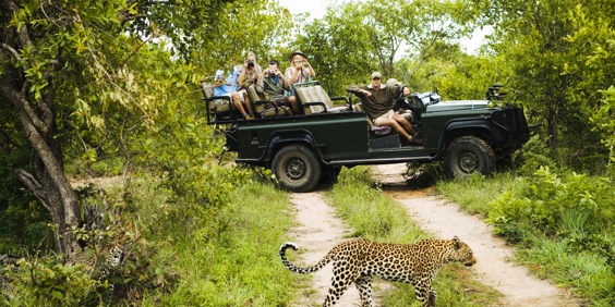 sydafrika - private game reserve_safari_leopard_01