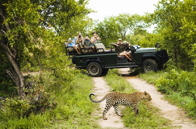 sydafrika - private game reserve_safari_leopard_01