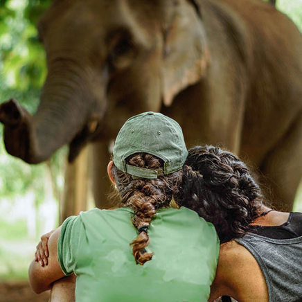 laos - ElephantConservationCenter_Sayaboury_Laos_Observation