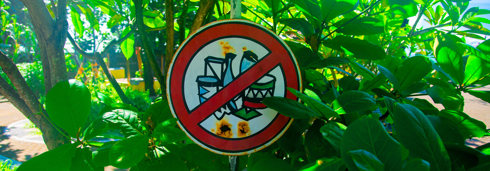 bali - bali_plastic_blog_11