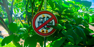 bali - bali_plastic_blog_11