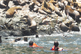 peru - Palomino_Islands_03