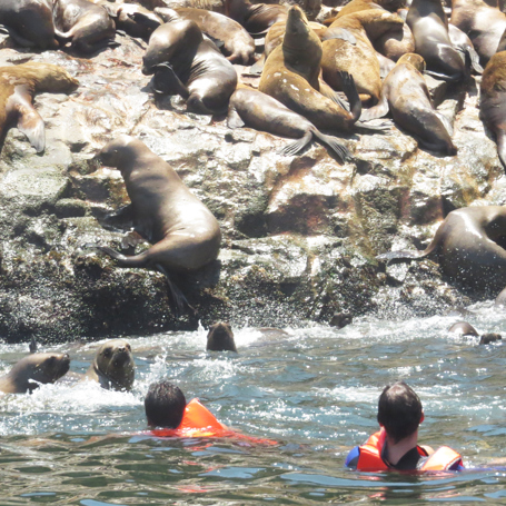 peru - Palomino_Islands_03
