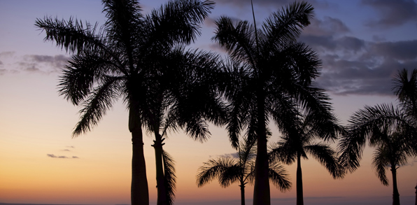 cuba - cuba_strand_solnedgang_15