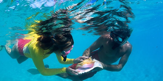 dansk vestindien - st john_snorkling_01