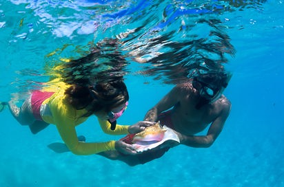 dansk vestindien - st john_snorkling_01