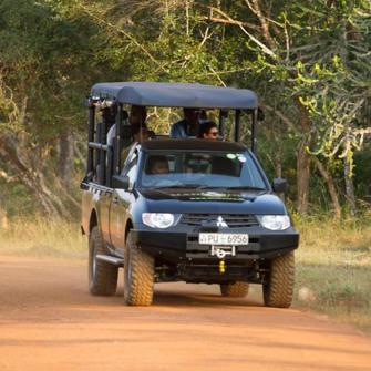 Safari Jeep Mahoora Wilpattu By Eco Team