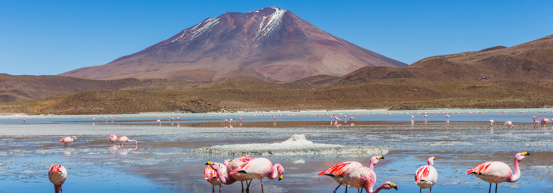 hedionda laguna_01