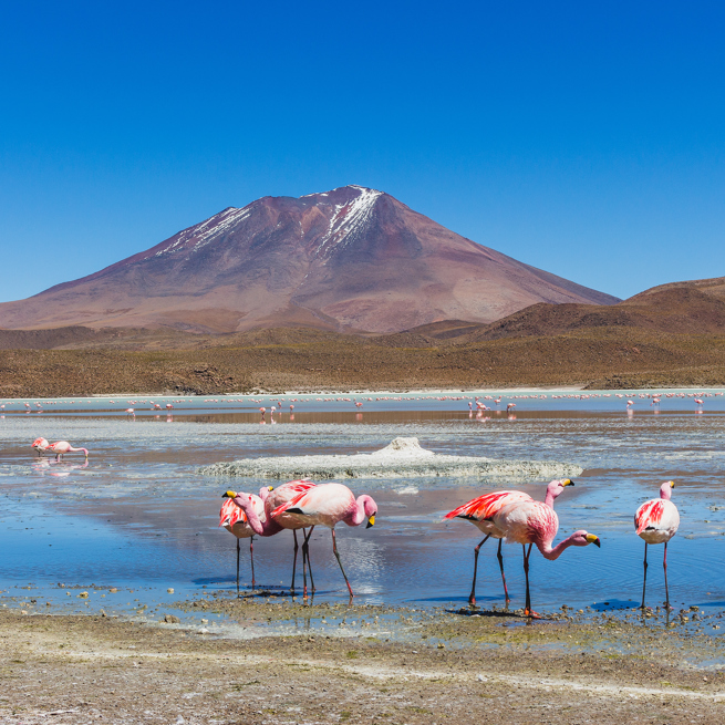 hedionda laguna_01