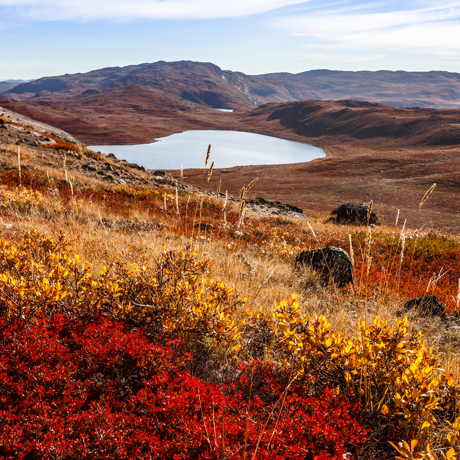 Kangerlussuaq_efteraar_01